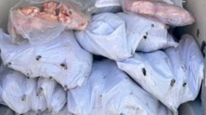 Tekirdağ’da 1,5 ton iç yağ ve 140 kokoreç imha edildi