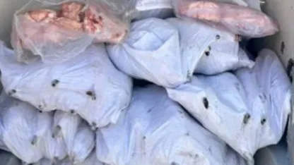 Tekirdağ’da 1,5 ton iç yağ ve 140 kokoreç imha edildi