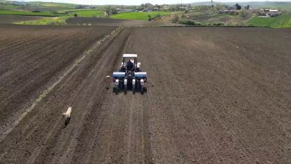 Tekirdağ’da ayçiçeği ekimi