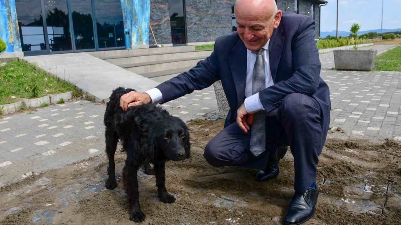 Terme’de sevgi ve merhamet projesi