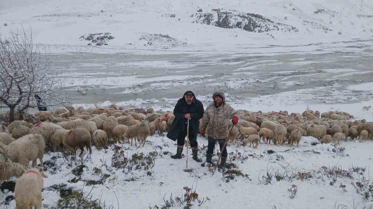 Tipi vurdu heyelan yolu kapattı, 2 çoban ve yaklaşık 650 küçükbaş hayvan yaylada mahsur kaldı