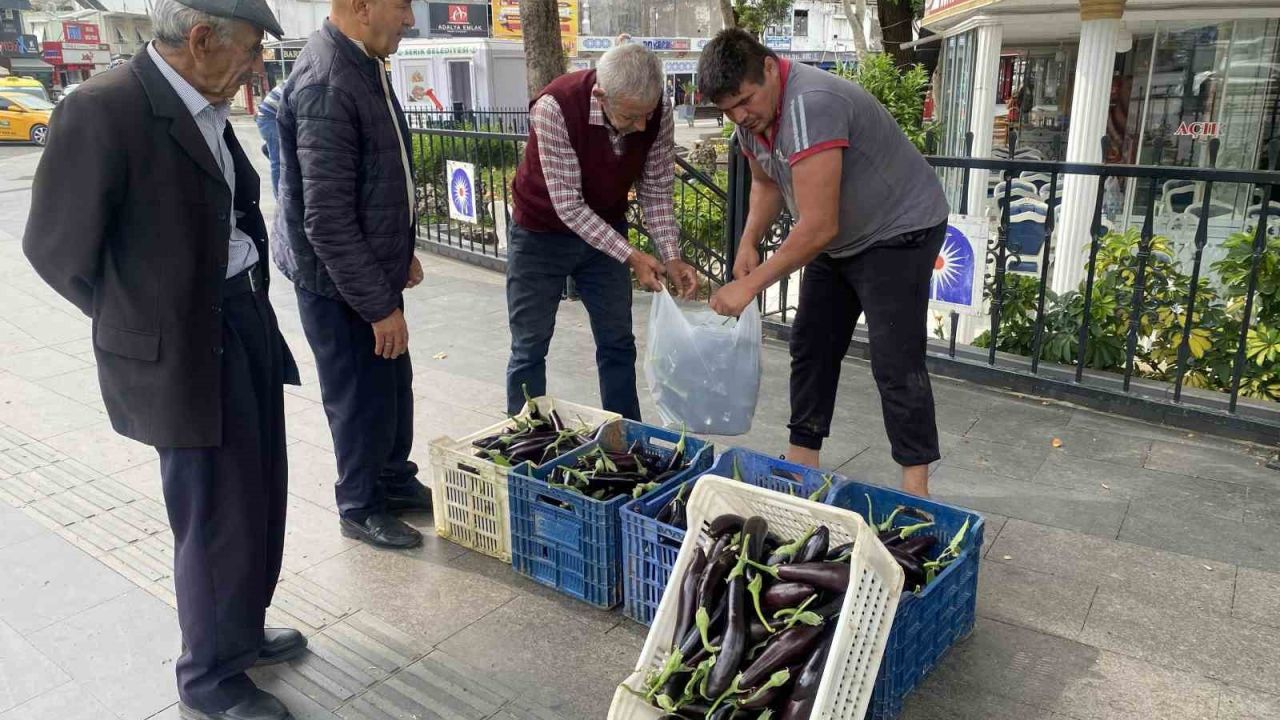 Ürettiği patlıcanlar maliyetini kurtarmayınca serasının kapılarını vatandaşlara açtı