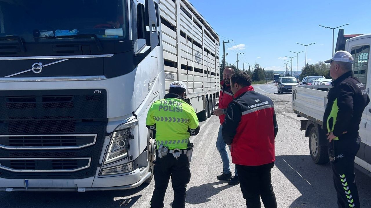 Uşak’ta hayvan sağlığı ve halk sağlığı için denetimler sürüyor