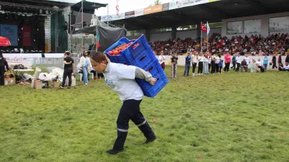 Yarım altın ödüllü yarışmada kadınlar, kilolarca domates kasasını koşa koşa taşıdı